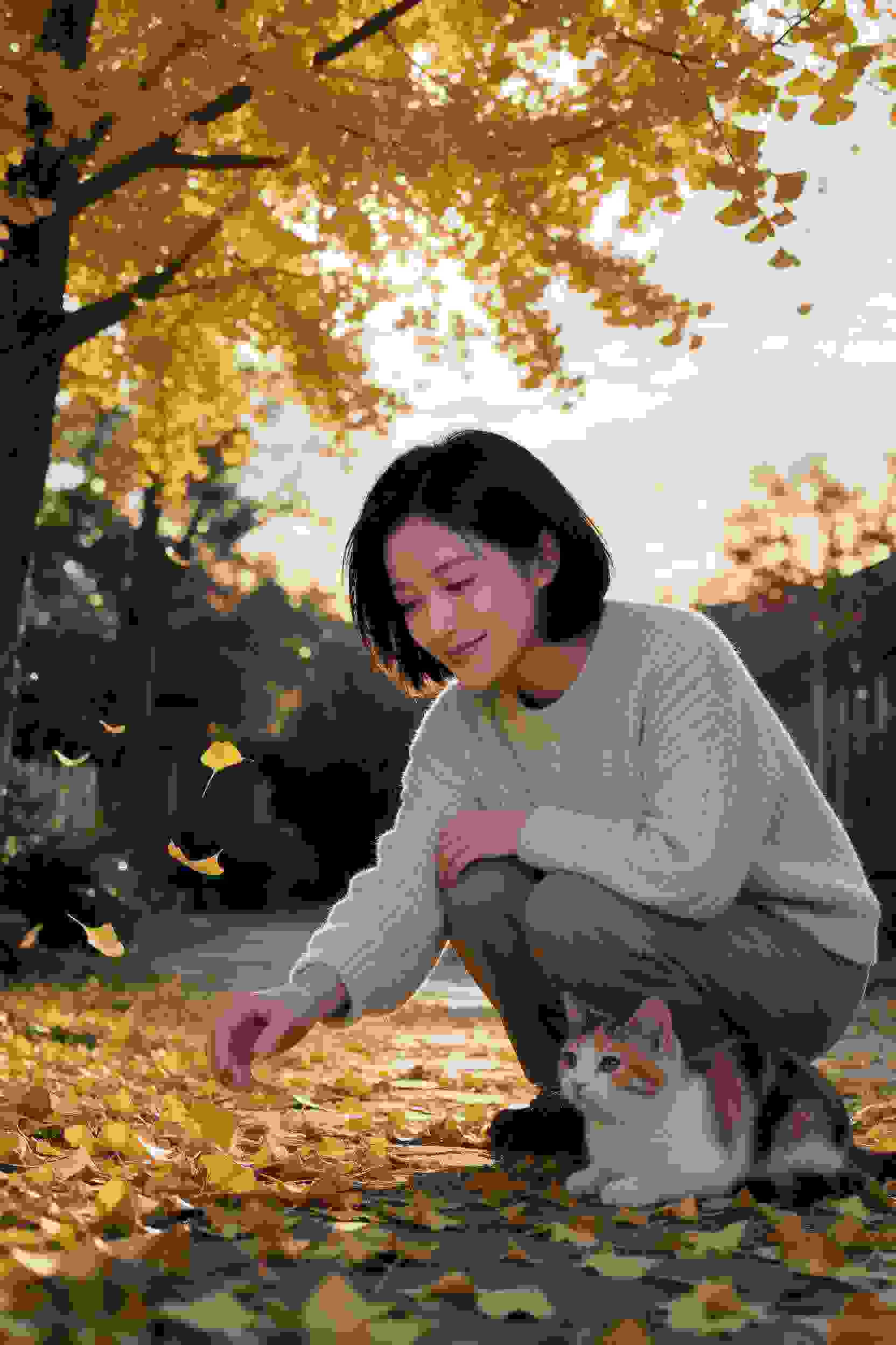 青春恋曲